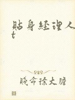 贴身经理人txt封面