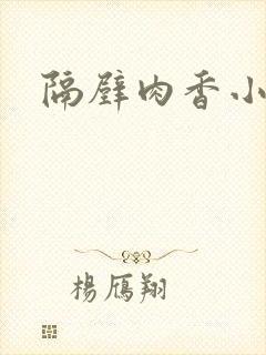 隔壁肉香小说