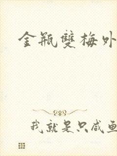 金瓶双梅外传封面