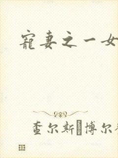 宠妻之一女二夫