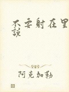 不要射在里面小说