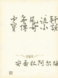 少年风流轩辕大宝传奇小说