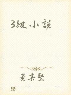 3级小说