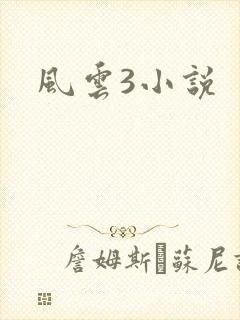 风云3小说
