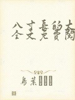 八寸长的大宝贝全文免费阅读