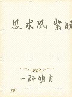 凤求凰 紫晓封面