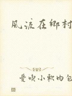 风流在乡村封面