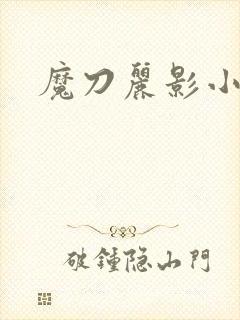 魔刀丽影小说