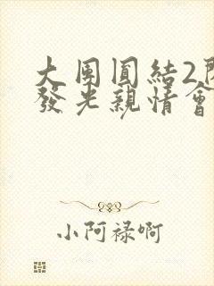 大团圆结2闪闪发光亲情会