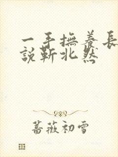 一手抚养长大小说靳北然