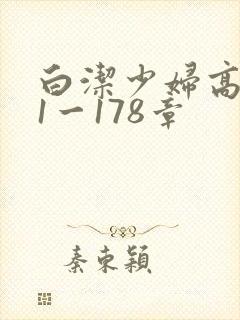 白洁少妇高义第1一178章封面