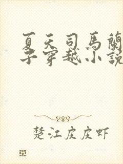 夏天司马兰九皇子穿越小说笔趣阁