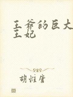 王爷的巨大进入王妃封面