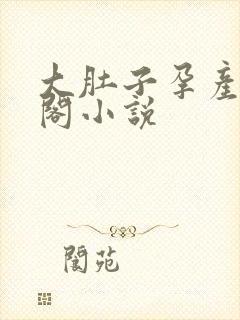 大肚子孕产笔趣阁小说