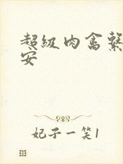 超级肉禽系统保安