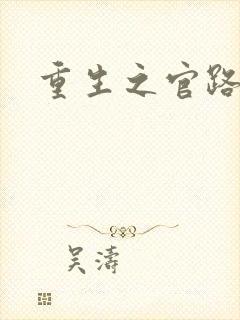 重生之官路风流