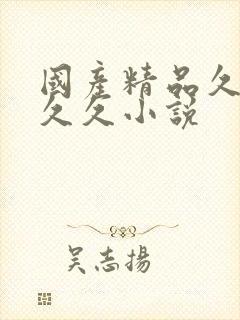 国产精品久久久久久小说