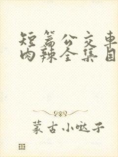 短篇公交车高h肉辣全集目录