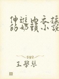 伸进内衣揉捏她的奶头小说学生