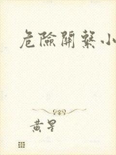 危险关系小说封面