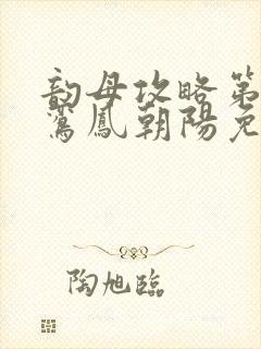 韵母攻略第二部鸾凤朝阳免费阅读封面