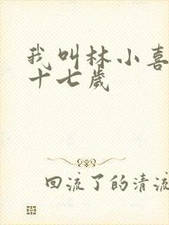 我叫林小喜今年十七岁