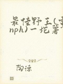最佳野王(电竞nph)一坨薯饼封面
