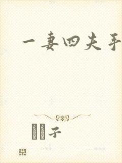 一妻四夫手记