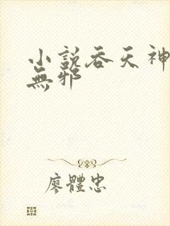 小说吞天神鼎柳无邪封面