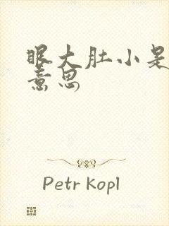 眼大肚小是什么意思