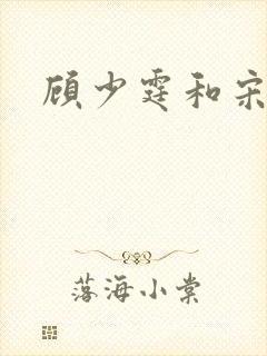 顾少霆和宋斯曼封面