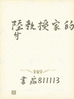 陆教授家的小月牙