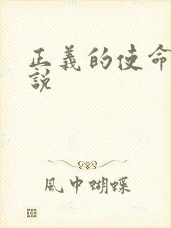 正义的使命 小说