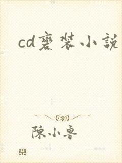 cd变装小说封面