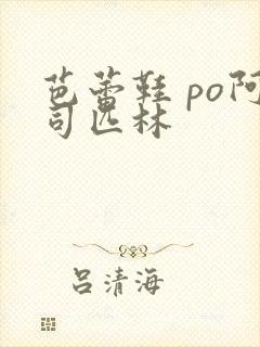 芭蕾鞋 po阿司匹林封面