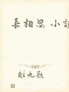 长相思 小说