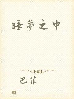 睡梦之中封面