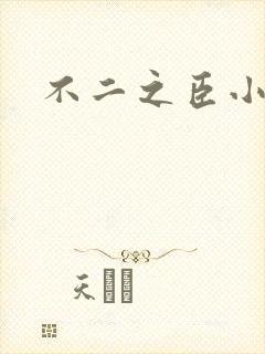 不二之臣小说
