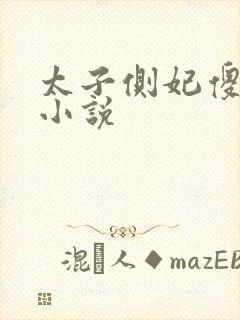 太子侧妃傻乎乎小说封面