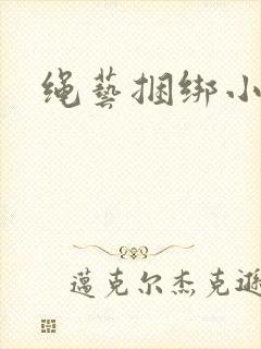 绳艺捆绑小说封面