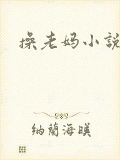 操老妈小说
