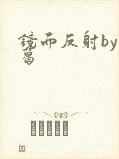 镜面反射by九葛封面