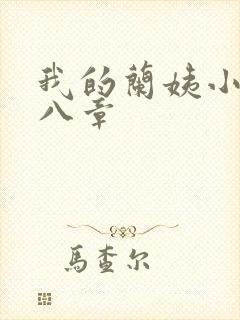 我的兰姨小说第八章封面