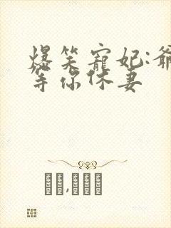 爆笑宠妃:爷我等你休妻