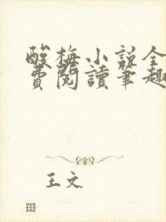 酸梅小说全文免费阅读笔趣阁