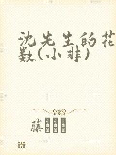 沈先生的花式调数(小非)