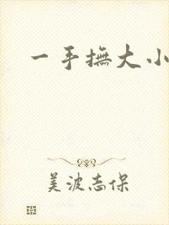 一手抚大小说