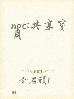 npc:共享宝贝封面