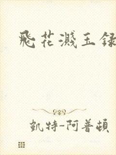 飞花溅玉录封面