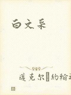 白文采封面